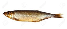 SMOKED WHOLE ATLANTIC HERRING 5LB/CASE $6.00/LB