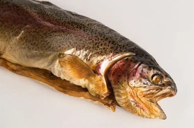 HOT SMOKED RAINBOW TROUT - 1/5LB - $9.57/LB