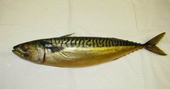 SMOKED WHOLE MACKEREL 10LB/CASE $5.5/LB