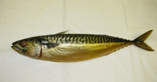 SMOKED WHOLE MACKEREL 10LB/CASE $5.5/LB